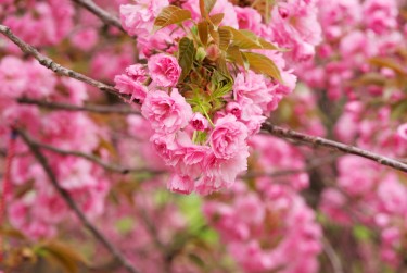 温州永嘉线下个人借款平台一站式服务，轻松解决资金难题
