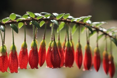 温州永嘉零用贷短借：轻松解决临时资金需求