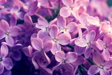 温州永嘉企业急用钱贷款攻略：快速融资解燃眉之急